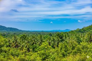 Archie s Paradise View