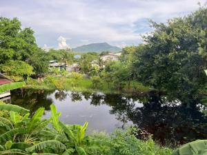 The Terrace Homestay Resort