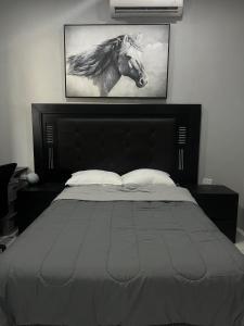 Peaceful Coastal Escape In La Paz, Baja Cal Sur