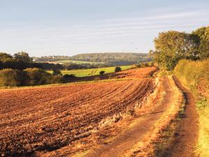 Lapwing Cottage - E5028