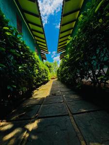 Jungle Edge Cottage