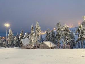 Ruka Snow & Sun 1 - Near Activities, WiFi, AC, Ski maintenance room