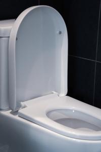 The Meow Empire Cat-Themed Stay with Cityview Pool