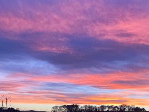 Lapwing Cottage - E5028