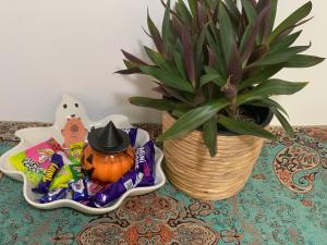 Stylish Chic King Bedroom