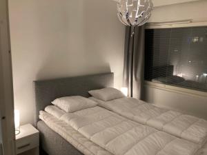 Rovaniemi City Center 2