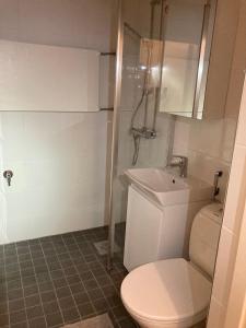 Rovaniemi City Center 2