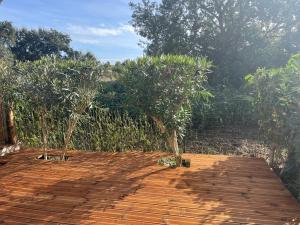 Corse villa T3 piscine