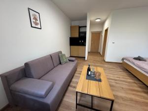 Apartmány Mikulov 45