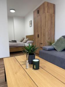 Apartmány Mikulov 45