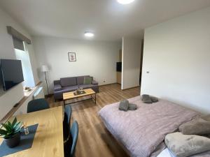 Apartmány Mikulov 45