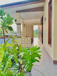 The wells house krabi