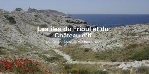 Atelier Marius ROCHE