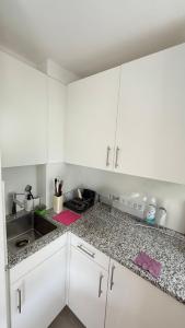 Bright Studio with Private Terrace near Nymphenburg Castle