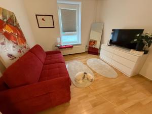 1 Zi Whg an der Universität zu Kiel-Alsenstrasse 17, perfekt auch als Schadenwohnung, eigener Parkplatz, große Wohnküche, Wlan, gemütlich möbliert, je 3 Min zur Universitätsklinik, Ostsee, Seebäder, City, Luxusfähren