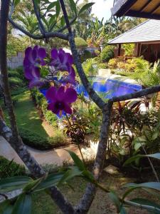 Villa in balinese style with private pool in Lovina