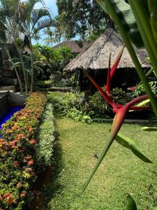 Villa in balinese style with private pool in Lovina