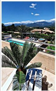 Villa les Palmiers pool spa view of Bavella