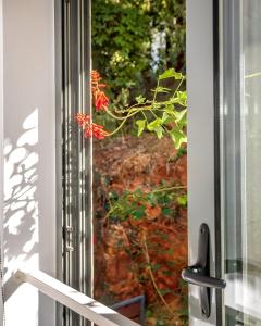 Central cozy garden flat