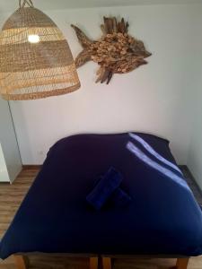 Le Repaire Secret, studio cosy et calme Narbonne