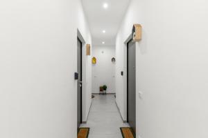 Baroni C - FREE private parking-wi- fi and A-C