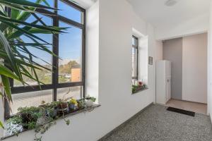 Baroni B - FREE private parking and A-C