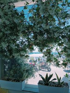 Seahouse Casa vacanze Studiocantieri