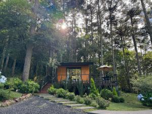 Vale dos Bugres Eco House- Cabana da Rapina