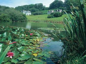 Rosecraddoc Manor - Heron