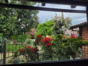 Cálida Cabaña ideal para parejas