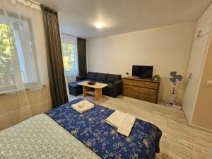 Borovets gardens Studio A12