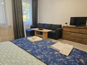 Borovets gardens Studio A12