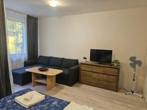 Borovets gardens Studio A12