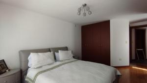 Hermosa Suite en la Carolina