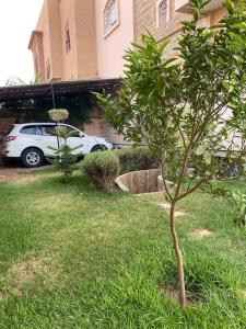 Peaceful Retreat with pool