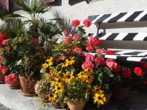 Flowerpot Apartment