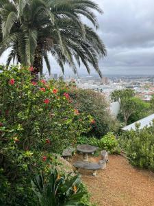Mountain Views in the Heart of Tamboerskloof