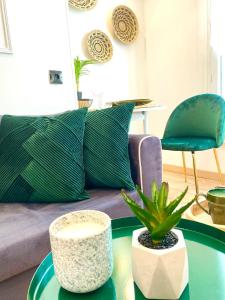 Appartement charmant au cœur de Périgueux