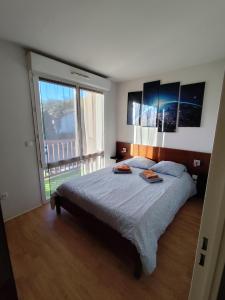 Appartement Le Cocon du Monde