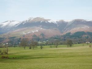 Acorn Lodge - Burnside Park