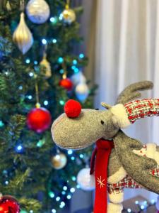 Karolina - Winter Holidays