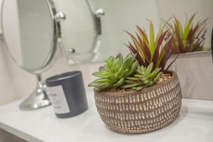 Cardiff Bay City View Penthouse