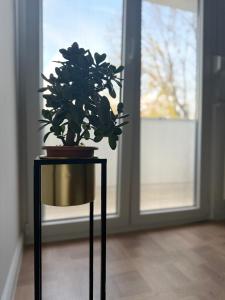 Apartman TONKA Vinkovci - novouređeni apartman u centru Vinkovaca