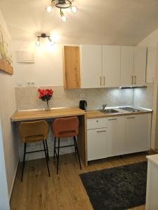 Apartment Maja - Strict center of Zagreb