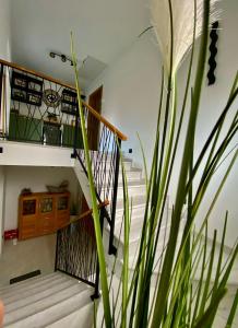 Filuma Suite with private terrace and balcony PANORAMIC GACKA VIEW