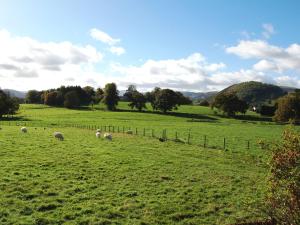 Fell Croft