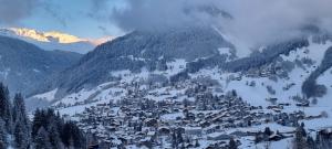 WEF Davos Large Alpine-Style Executive Studio Easy Access to Congress