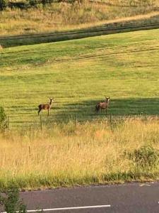 Appartement cosy rénové au calme
