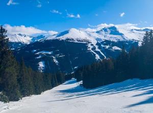 Susis Alpen Apartment