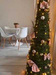 Apartmán Spišský Hrad